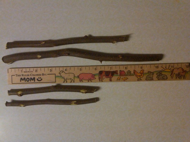 IMG00255-20110215-0518