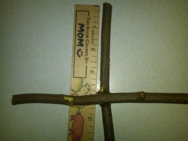 IMG00257-20110215-0523